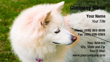 Animals | Featured Designs | Grooming |--| Alaskan | At41236 | Breed | Darryl Brooks | Dog | Dog Bathing | Enthusiasts | Great | Groomed | Groomers | Mixed | Owners | Trainers | Vets