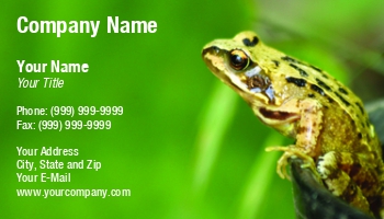 Animals | Featured Designs | Garden | Trades |--| Ali Taylor | Amphibian | Animal | At40241 | Crawling | Frog | Green | Pot