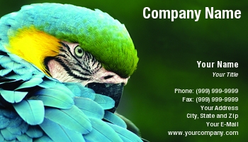 Featured Designs |--| At42446 | Bird | Donna Paul