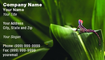 Featured Designs |--| At42459 | Donna Paul | Lizards | Reptile