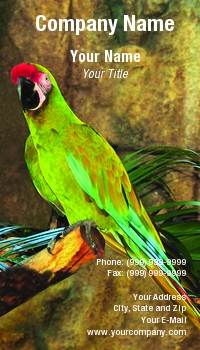 Featured Designs |--| At42581 | Bird | Blue | Donna Paul | Gold | Macaw | Parrot