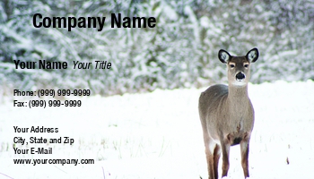 Featured Designs | People |--| At42672 | Deer | Doe | Forest | Forestry | General | Guides | Hunters | Jay Schulz | Outdoors | Rocky Mountain Wildlife | Snow | Storm | Taxidermy | Whitetail Deer | Winter