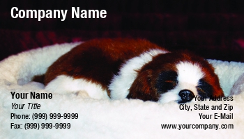 Animals | Featured Designs | Grooming |--| At42762 | Bernard | Crib | Dog | Dog Boarding | Donna Paul | Pet Funeral | Pet Photography | Pet Sitter | Pet Store | Pets | Puppy | Sheepskin | St