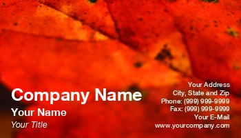 Featured Designs | Garden | Trades |--| Allyson Ricketts | At42839 | Landscape | Leaf | Macro | Maple | Plant
