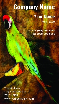 Featured Designs |--| At43272 | Background | Bird | Craquelure | Donna Paul | Parrot | Tropical