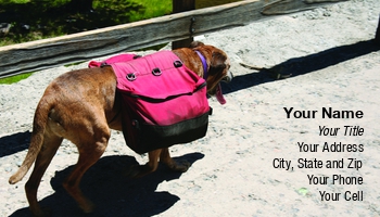 Featured Designs |--| At43329 | Dog | Dog Walking Service | Outdoors | Stacy Barnett
