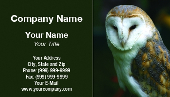 Featured Designs |--| Associations | At44111 | Barn | Barn Owl | Beautiful | Bird | Bird Sanctuary | Cindy Haggerty | Close | Owl | Rescue | Sanctuary | Used
