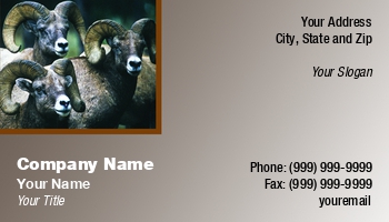 Featured Designs |--| At44151 | Bighorn Sheep | Ewe | Morey Milbradt | Ram | Rocky Mountain Wildlife