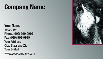Featured Designs |--| At44158 | Awesome | Business | Canis Lupus | Card | Grey Wolf | Morey Milbradt | Rocky Mountain Wildlife | Template | Wolf