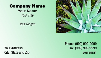 Desert | Featured Designs | Nature |--| At44220 | Awesome | Business | Card | Century Plant | Chaparral | Morey Milbradt | Plant | Template