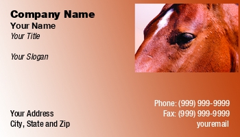 Animals | Featured Designs | Veterinarian |--| At44224 | Cowboy | Cowgirl | Horse | Morey Milbradt