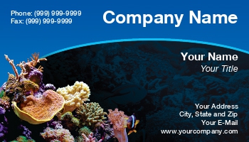 Featured Designs | Nature | Ocean |--| Aquarium | At45531 | Fish Tank | Jason Mellor | Reef | Sea Floor | Tropical Fish Servicing | Underwater Photography