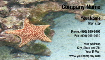 Aquatic | Featured Designs | Fishing | Potpourri | Professional | Trades | Travel |--| Astrid Van Der Eerden | At45645 | Coral Reef | Diving | Fish | Holiday | Marine Biologist | Oceanography | Reef | Scuba | Scuba Diving | Sea Star | Snorkeling | Star | Star Fish | Starfish | Tide Pool | Water