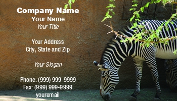 Animals | Featured Designs | Wild |--| Africa | African Animal | Animal | At46083 | Enjoying | Free | Hay | Normally | Place | Roaming | Safari | Stacy Barnett | Zebra | Zoo