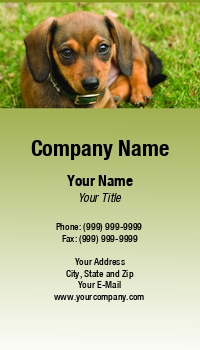 Animals | Domestic | Featured Designs |--| Animal Breeder | Animal Care | At46154 | Morey Milbradt | Pet-psychologist