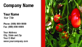 Farm | Featured Designs | Food | Hospitality |--| At46306 | Liz Van Steenburgh | Vegetable Stand