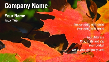 Featured Designs |--| At47434 | Autumn | Autumn Decorations | Emilia Kun | Fall | Leaves | Maple | Red | Season