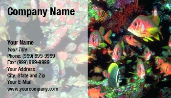 Featured Designs |--| Aquarium | Astrid Van Der Eerden | At48121 | Change | Climate | Coral | Dive | Diver | Diving | Fish | Marine Biologist | Oceanography | Reef | Rescue | Shop | Tropical Fish Servicing