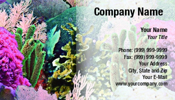 Featured Designs |--| Aquarium | Astrid Van Der Eerden | At48122 | Change | Climate | Coral | Diver | Diversshop | Diving | Fish | Rescue | Riff | Shop | Tropical Fish Servicing
