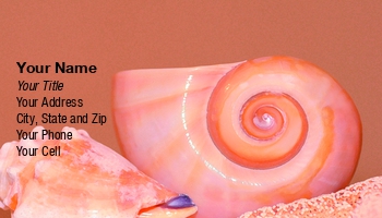 Featured Designs |--| At49265 | Mark Javer | Seashells