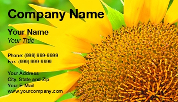 Featured Designs | Nature |--| At49270 | Florist | Mark Javer | Natural | Photoshop | Sunflower