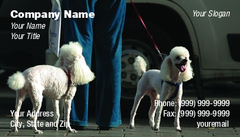 Featured Designs |--| At49790 | Dog | Dog Grooming | Dog Sitter | Dog Walker | Judy Ben Joud | Mobile Pet Grooming | Pet Boarding | Pet Grooming | Pet Grooming Supplies | Pet Walker | Poodles | Street