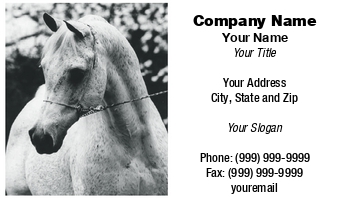 Featured Designs |--| At49877 | Black | Breeders | Cowboy | Cowgirl | Equestrian | Equine | Groomers | Horse | Image | Industry | Penny Williams | Riders | Stables | Used | Vets | White