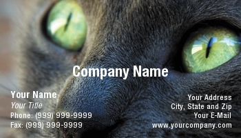 Animals | Domestic | Featured Designs |--| #039 | At49995 | Cat | Cats | Eyes | Siamese Cat | Sophie Martin