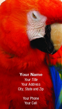 Animals | Featured Designs |--| At51462 | Aviary | Bird | Birds | Donna Paul | Macaw | Parrot | Pet Sitter | Pet Store | Red