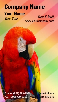 Featured Designs |--| At51463 | Background | Decorative | Donna Paul | Macaw | Pet Store | Red
