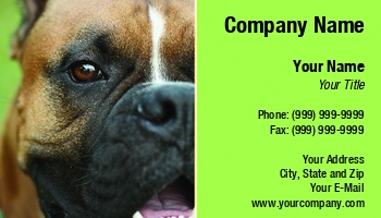 Featured Designs |--| #039 | At50364 | Black | Boxer | Bright | Brown | Card | Clear | Closeup | Dog | Eye | Face | Fawn | Mask | Mouth | Nd | Open | Pant | Right | Sandra Morris | Shows