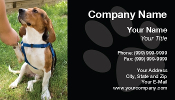 Animals | Domestic | Featured Designs | Grooming | Professional | Veterinarian |--| Adorable | Animal | At54840 | Beagle | Breed | Brown | Business | Canine | Card | Companion | Cute | Design | Dog | Dog Groomer | Dog Sitting | Dog Trainer | Ears | Floppy | Furry | Giving | Grass | Green | Groomers | Harness | Head | Hound | Impact | Instructor | Little | Make | Male | Mammal | Master | Obedience | Obediently | Paw | Purebred | School | Suitable | Todd Arena | Wants