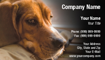Animals | Domestic | Featured Designs | Grooming | Professional | Veterinarian |--| Adorable | Animal | At54841 | Background | Beagle | Bed | Breed | Brown | Business | Canine | Card | Companion | Cute | Design | Dog | Ears | Floppy | Furry | Groomers | Head | Hound | Impact | Indoor | Indoors | Laying | Lazy | Little | Make | Male | Mammal | Nose | Obedience | Purebred | Suitable | Todd Arena | Wants