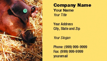 Farm | Featured Designs |--| At55808 | Bacon | Karin Lau | Pig | Pork | Pork Chops