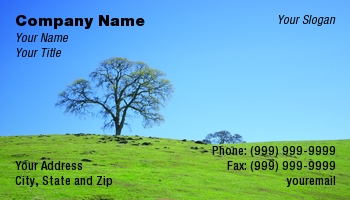 Featured Designs | Nature |--| At56114 | Blue | Grassy | Hilltop | Lynn Bendickson | Oak | Pasture | Prairie | Sky | Tree | Trees