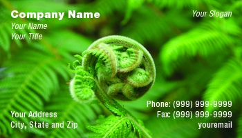 Featured Designs | Floral | Nature |--| At56151 | Background | Branch | Fern | Foreground | Forms | Leaves | Lynn Bendickson | Rain Forest | Rainforest