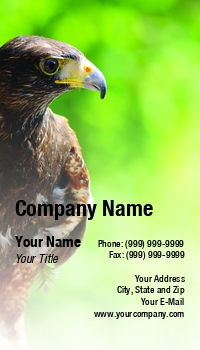 Featured Designs |--| At56158 | Background | Bird | Bird Of Prey | Green | Magnus Johansson | Predator | Raptor | Smooth