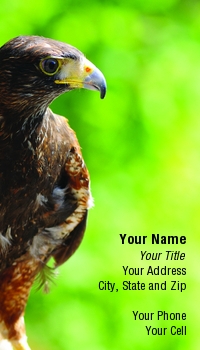 Featured Designs |--| At56162 | Background | Bird | Bird Of Prey | Green | Magnus Johansson | Predator | Raptor | Smooth