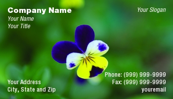 Featured Designs |--| At56167 | Background | Flower | Green | Johnny | Jump | Lynn Bendickson | Pansy | Purple | White | Yellow