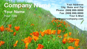 Featured Designs | Floral | Nature |--| At56186 | California | Grassy | Hillside | Lynn Bendickson | Orange | Poppies