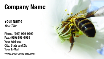 Featured Designs |--| Apiary | Apiculture | At56273 | Bee | Beekeeper | Cherry | Close | Flower | Honey | Honey Bee | Insect | Ivan Paunovic | Pollinating | Pollination | Tree
