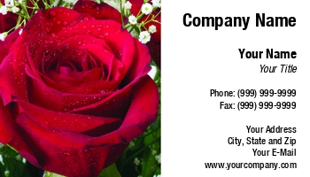 Featured Designs |--| At56394 | Baby | Breath | Green | Jeff Cleveland | Leaves | Red | Rose | Single