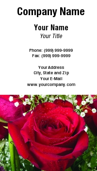 Featured Designs |--| At56396 | Baby | Breath | Green | Jeff Cleveland | Leaves | Red | Rose | Single