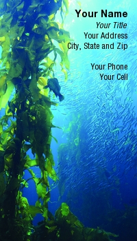 Featured Designs | Nature | Ocean |--| At56428 | Ecology | Environmental | Giant | Kelp | Lesya Castillo | Scuba Diving | Underwater | Underwater Photography