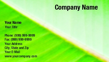 Featured Designs | Nature |--| At56524 | Background | Color | Composed | Design | Diagonal | Green | Jiri Moucka | Leaf | Natural | Photo