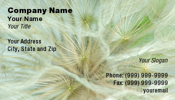Featured Designs | Floral | Nature |--| At56592 | Dandelion | Giant | Individual | Lynn Bendickson | Macro | Macro Photography | Seeds | Showing | Tendrils | Umbrella | View | Weeds
