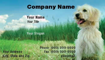 Featured Designs |--| At56626 | Dog | Dog Trainer | Dog Training | Dog Walking Service | Noam Armonn | Pet | Pet Boarding | Pet Sitter | Pet Sitting Service | Pet Training