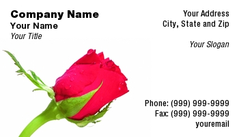 Featured Designs |--| At56673 | Close | Red | Rose | Sabine Kappel