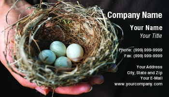 Featured Designs | Professional | Real Estate |--| At56940 | Bird | Financial Planner | Nest Egg | Noam Armonn