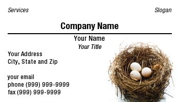 Featured Designs | Professional | Real Estate |--| At56941 | Bird | Financial Planner | Financial Planning | Nest Egg | Noam Armonn